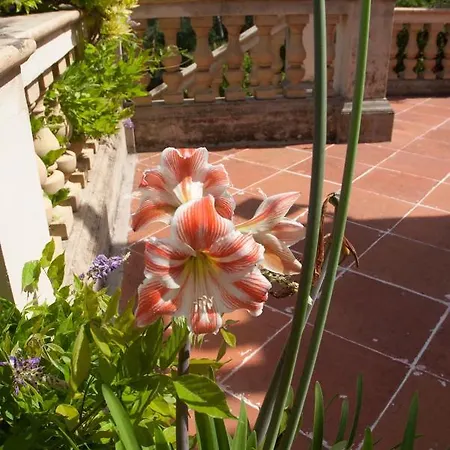 Casa De Vistas * Пальма-де-Майорка